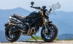 Ducati Scrambler 1100 Sport  - 2020 | Tutte le ricambi