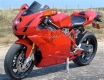 Alle originele en vervangende onderdelen voor uw Ducati Superbike 999 2003.