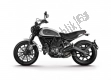 All original and replacement parts for your Ducati Scrambler Icon 803 2017.