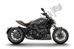 Ducati Xdiavel 1260  - 2019 | All parts