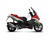 Todas as peças originais e de reposição para seu Gilera Nexus 300 IE E3 2008.