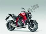 Options and accessories for the Honda CBF 1000  - 2010