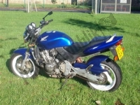 Todas as peças originais e de reposição para seu Honda CB 600F Hornet 1999.