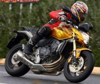 Tutte le parti originali e di ricambio per il tuo Honda CB 600F Hornet 2007.