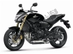 Tutte le parti originali e di ricambio per il tuo Honda CB 600F Hornet 2013.