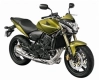 Todas as peças originais e de reposição para seu Honda CB 600F3A Hornet 2009.