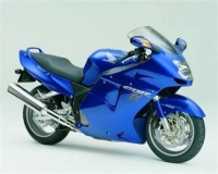 Todas as peças originais e de reposição para seu Honda CBR 1100 XX 2007.