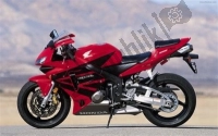 Todas as peças originais e de reposição para seu Honda CBR 600 RR 2003.