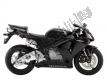 Toutes les pièces d'origine et de rechange pour votre Honda CBR 600 RR 2005.