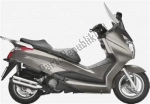 Plastica, lamiera per il Honda FES 125 S-wing A - 2012