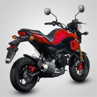 All original and replacement parts for your Honda MSX 125 2017.
