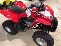 Todas as peças originais e de reposição para seu Honda TRX 250 TM1 2020.