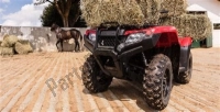 Tutte le parti originali e di ricambio per il tuo Honda TRX 420 TE1 2020.