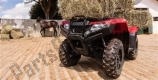 Tutte le parti originali e di ricambio per il tuo Honda TRX 420 TM1 2020.