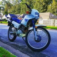 Alle originele en vervangende onderdelen voor uw Honda NX 125 1989.