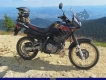 Todas as peças originais e de reposição para seu Honda NX 650 1991.