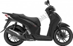 Honda SH I 125 AD - 2013 | Alle onderdelen