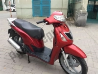 Todas as peças originais e de reposição para seu Honda SH 150S 2007.