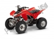 Todas as peças originais e de reposição para seu Honda TRX 250 EX 2008.