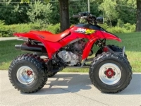 All original and replacement parts for your Honda TRX 300 EX 2008.