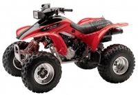 All original and replacement parts for your Honda TRX 300 EX Sportrax 2006.