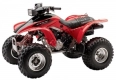 All original and replacement parts for your Honda TRX 300 EX Sportrax 2006.