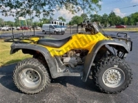 All original and replacement parts for your Honda TRX 350 FE Fourtrax 4X4 ES 2004.