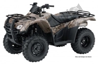 All original and replacement parts for your Honda TRX 420 FE Fourtrax Rancher 4X4 ES 2010.