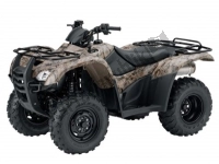 Alle originele en vervangende onderdelen voor uw Honda TRX 420 FE Fourtrax Rancher 4X4 ES 2013.