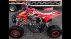 Todas as peças originais e de reposição para seu Honda TRX 450 ER Sportrax 2009.