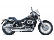 All original and replacement parts for your Honda VT 750 DC 2001.