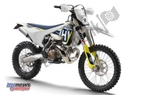 All original and replacement parts for your Husqvarna TE 300 2018.