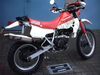 Todas las piezas originales y de repuesto para su Kawasaki EL 250E 1991.