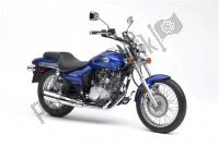 Todas as peças originais e de reposição para seu Kawasaki Eliminator 125 2006.