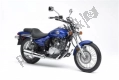 All original and replacement parts for your Kawasaki Eliminator 125 2006.