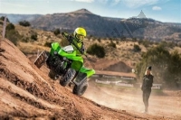 Alle originele en vervangende onderdelen voor uw Kawasaki KFX 50 2019.