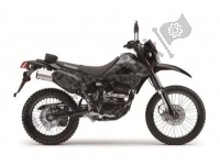 Tutte le parti originali e di ricambio per il tuo Kawasaki KLX 250S 2020.