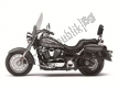 Todas as peças originais e de reposição para seu Kawasaki VN 900 Vulcan Classic 2020.