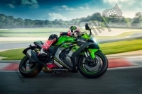 Todas las piezas originales y de repuesto para su Kawasaki ZX 1002 Ninja ZX-10 RR 1000 2019.