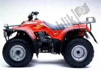 All original and replacement parts for your Kawasaki KLF 300 2000.