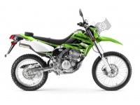 Alle originele en vervangende onderdelen voor uw Kawasaki KLX 250 2009.