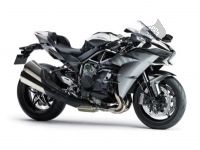 Todas as peças originais e de reposição para seu Kawasaki Ninja H2 1000 2016.