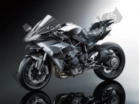 Tutte le parti originali e di ricambio per il tuo Kawasaki Ninja H2R 1000 2016.