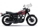 Kawasaki W 800 Cafe Style  - 2013 | Todas las piezas