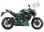 Kawasaki Z 800 B - 2014 | Wszystkie części