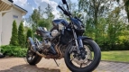 Wszystkie oryginalne i zamienne części do Twojego Kawasaki Z 800 ABS 2015.