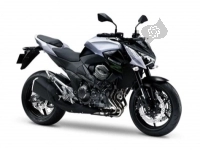 Alle originele en vervangende onderdelen voor uw Kawasaki Z 800E Version 2014.