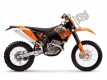 Tutte le parti originali e di ricambio per il tuo KTM 250 EXC Australia 2008.