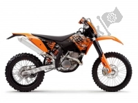 Todas as peças originais e de reposição para seu KTM 250 EXC Europe 2008.