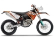 Toutes les pièces d'origine et de rechange pour votre KTM 250 EXC F Champion Edit Europe 2010.